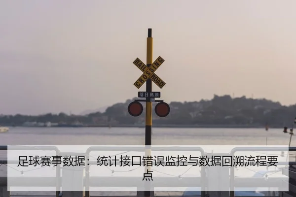 zu-qiu-sai-shi-shu-ju-tong-ji-jie-kou-cuo-wu-jian-kong-yu-shu-ju-hui-su-liu-cheng-yao-dian-2-203.jpg